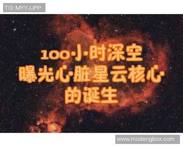 李秀英的飞盘人生：从热爱到梦想的深度对话与探索